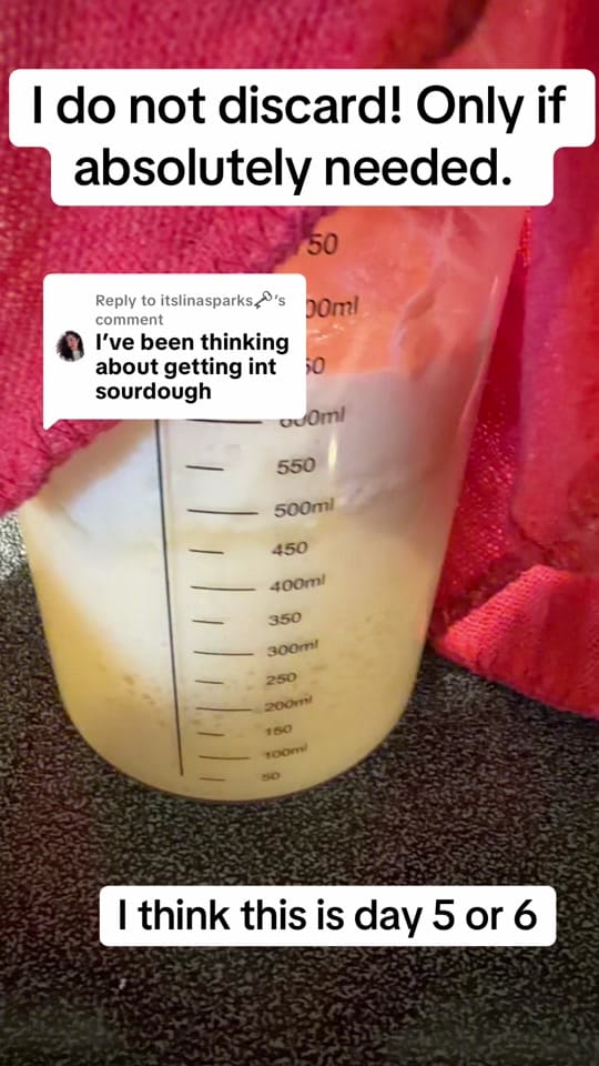Post 8 by Elena 🤍 on TikTok (video)