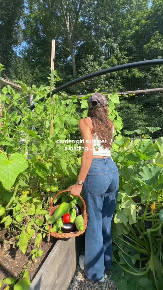 Post 3 by Rachel Brunelle on TikTok (video)