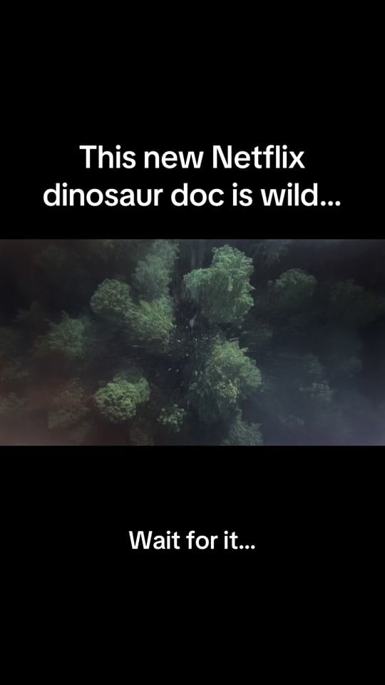 Post 4 by EricRobert on TikTok (video)