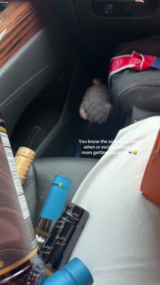 Post 3 by Isabella Rose Reardon on TikTok (video)