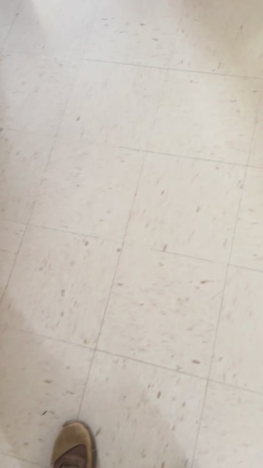 Post 4 by Wes Moody on TikTok (video)