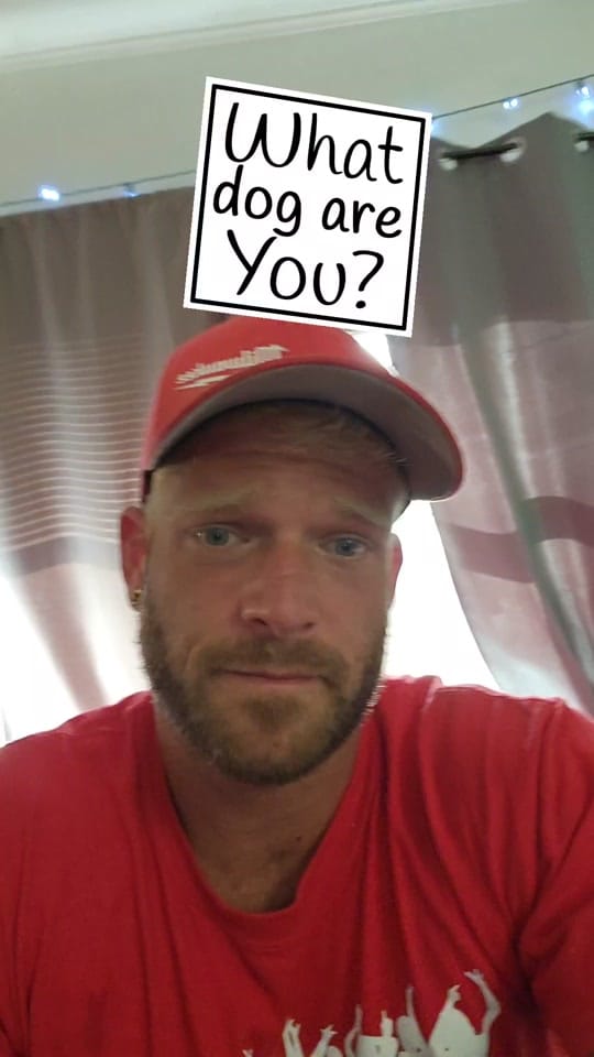Post 4 by FitFraming on TikTok (video)