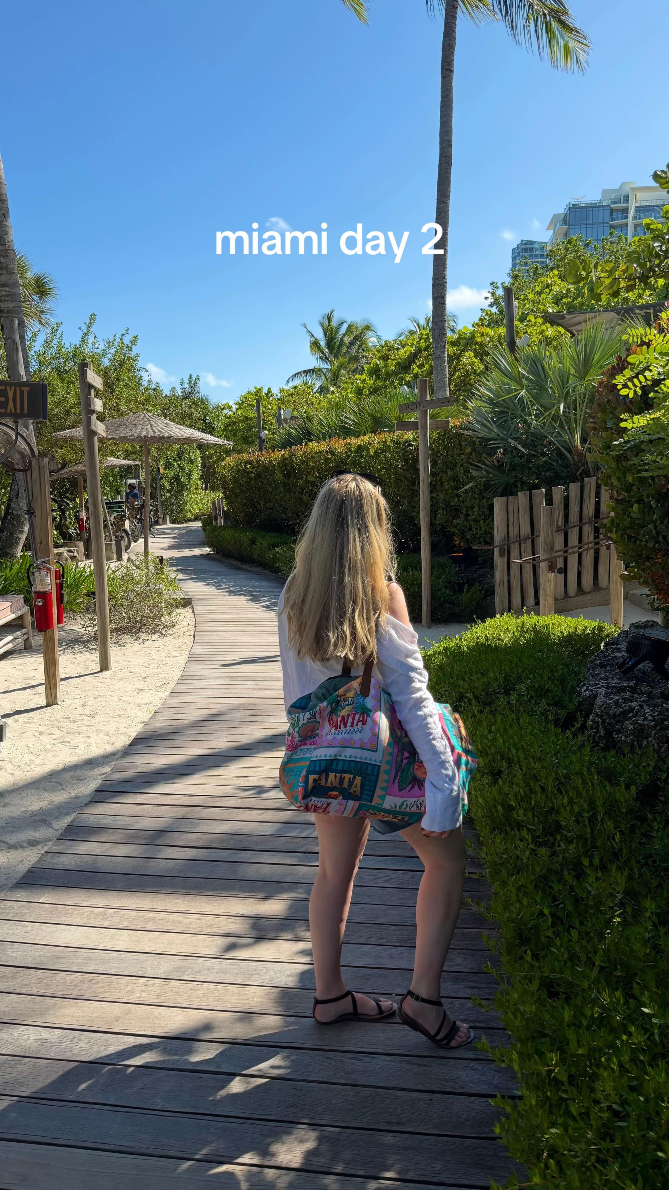 Post 4 by charlotte 🍊 on TikTok (video)