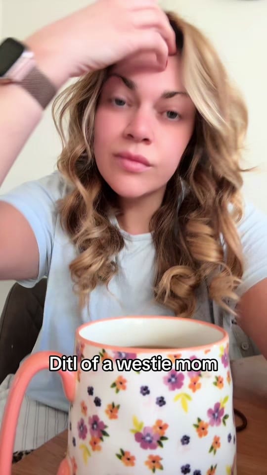 Post 6 by Lauren Hughes 🍓 on TikTok (video)