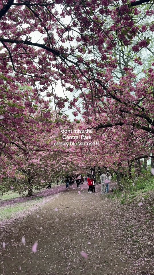 Post 6 by Mads on TikTok (video)