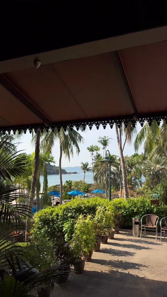 Post 7 by Alison on TikTok (video)