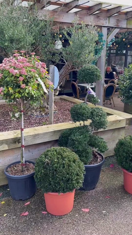 Post 4 by NicPed on TikTok (video)