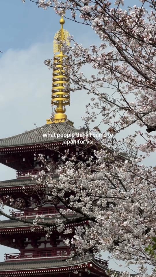 Post 7 by PARIS IN NEW YORK on TikTok (video)