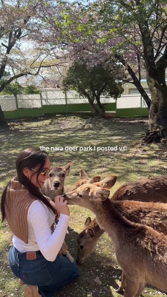 Post 4 by PARIS IN NEW YORK on TikTok (video)
