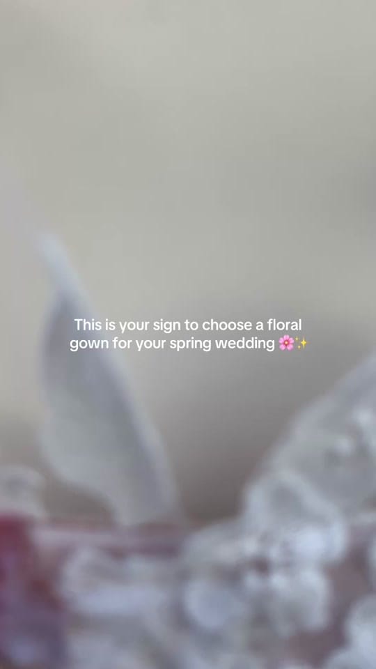 Post 2 by The couture co on TikTok (video)