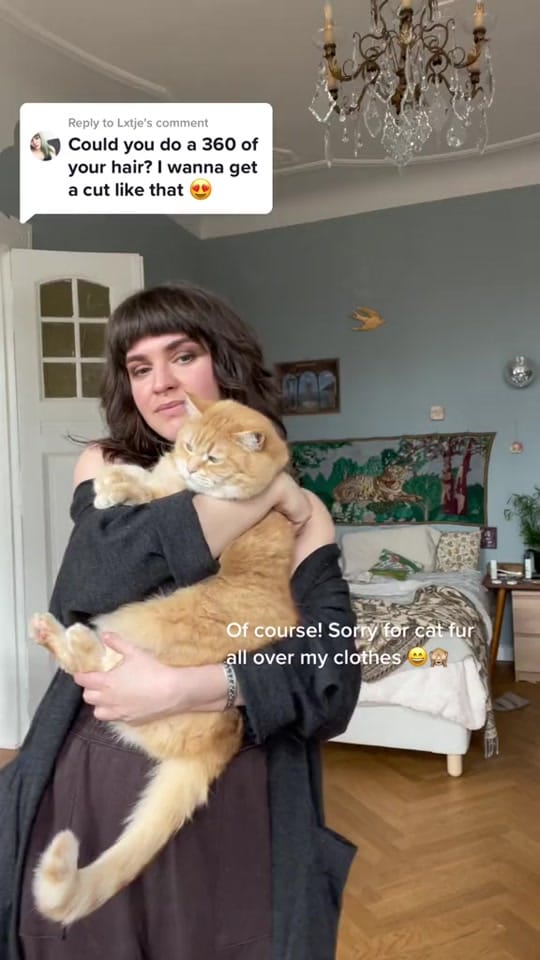 Post 2 by thevelvetdust on TikTok (video)