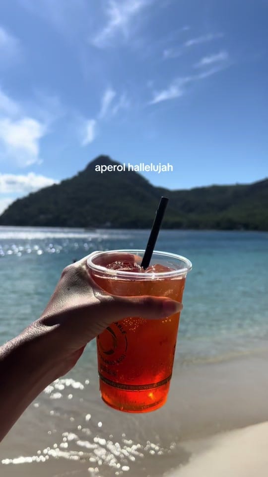 Post 4 by Alys on TikTok (video)