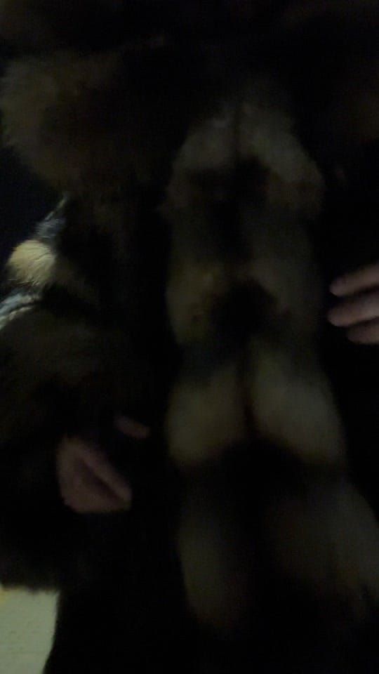 Post 6 by bespokefurfashion on TikTok (video)
