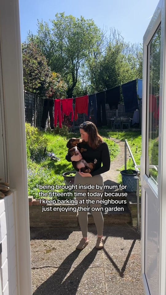 Post 6 by Venice Alexandraa on TikTok (video)
