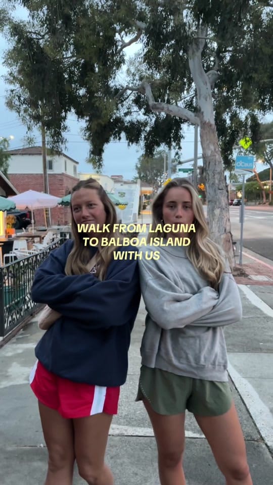 Post 3 by Hammy on TikTok (video)