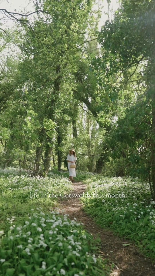 Post 5 by Josie on TikTok (video)