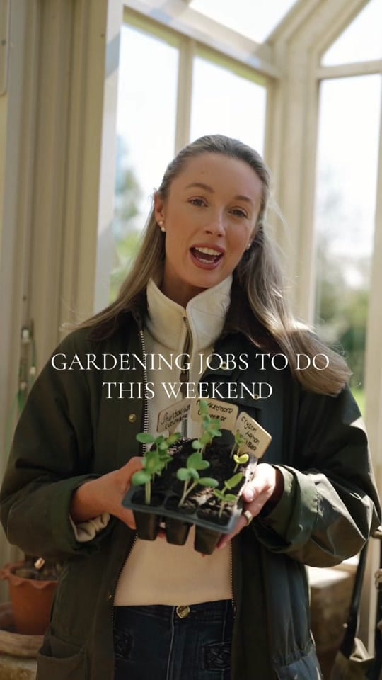 Post 2 by Josie on TikTok (video)