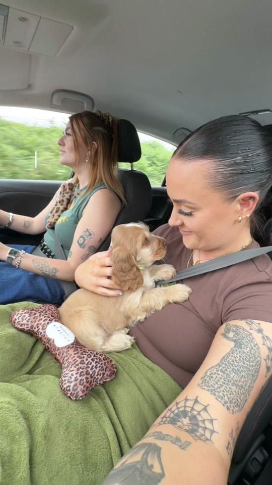 Post 10 by zoe + peach on TikTok (video)