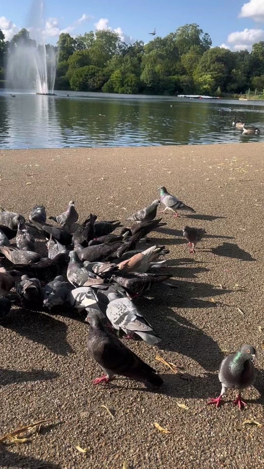 Post 5 by user386268 on TikTok (video)
