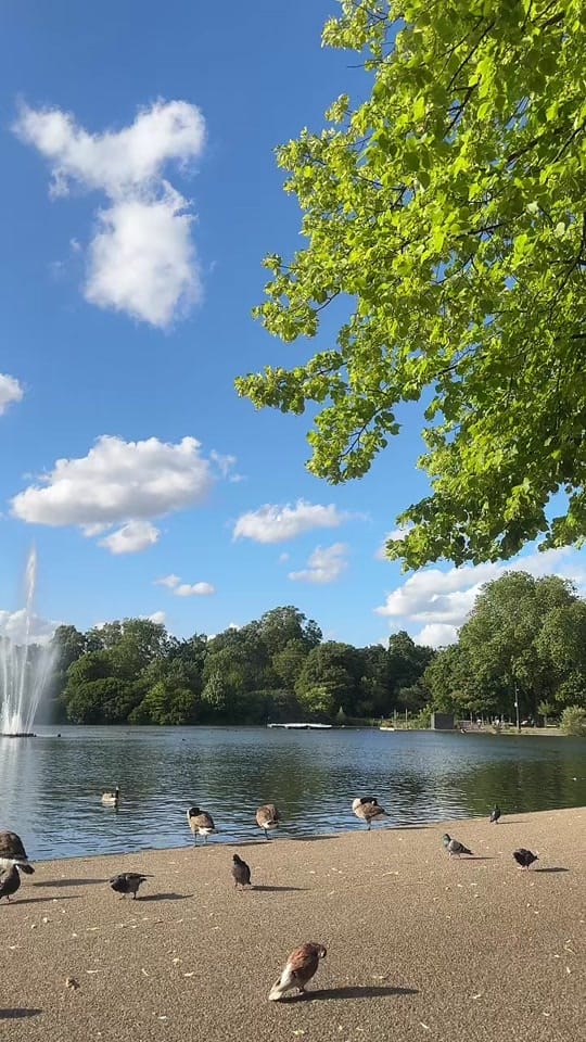Post 6 by user386268 on TikTok (video)