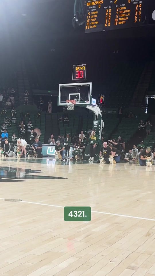 Post 5 by UAB Blazers on TikTok (video)