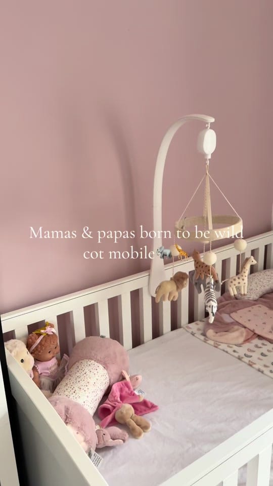 Post 4 by Tyler | Mam life & pregnancy on TikTok (video)