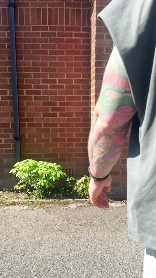 Post 1 by jacobdaniel_fit on TikTok (video)