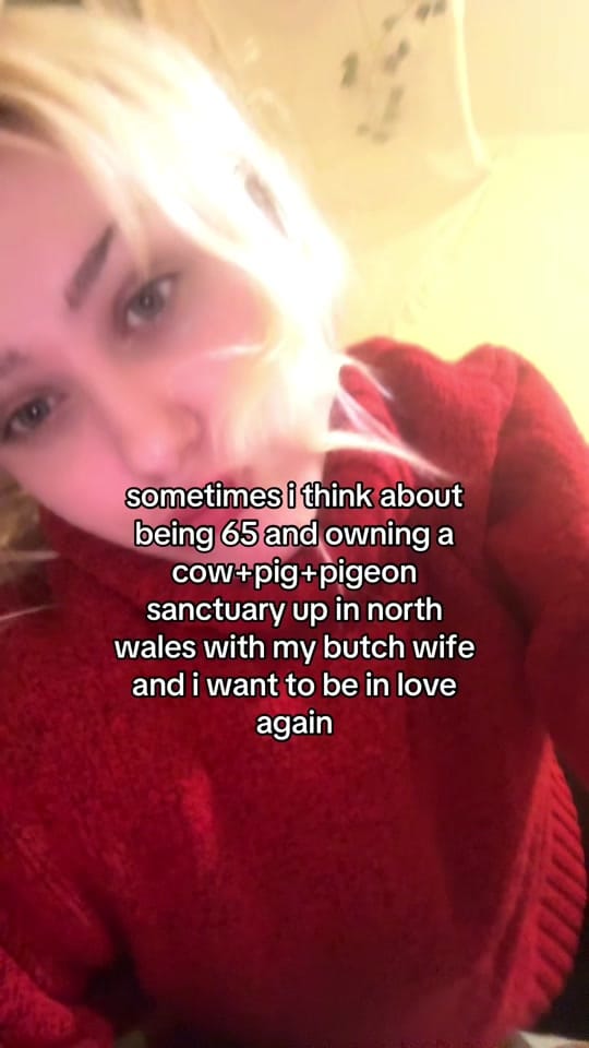 Post 9 by nadzieja ᯓ★ on TikTok (video)