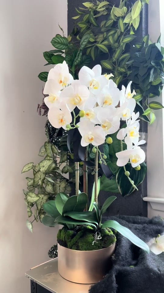 Post 5 by Lusso Vita Decor on TikTok (video)