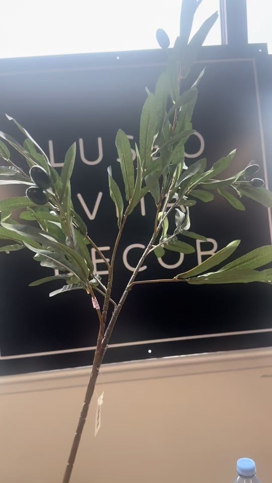 Post 7 by Lusso Vita Decor on TikTok (video)