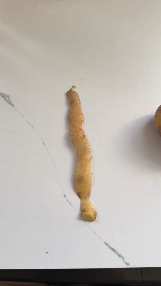Post 6 by Wandia|STEMafter40 food&fashio on TikTok (video)