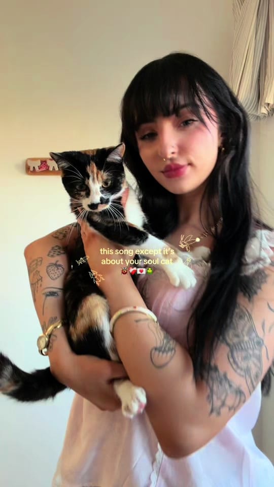 Post 1 by ✧ ella ✧ on TikTok (video)