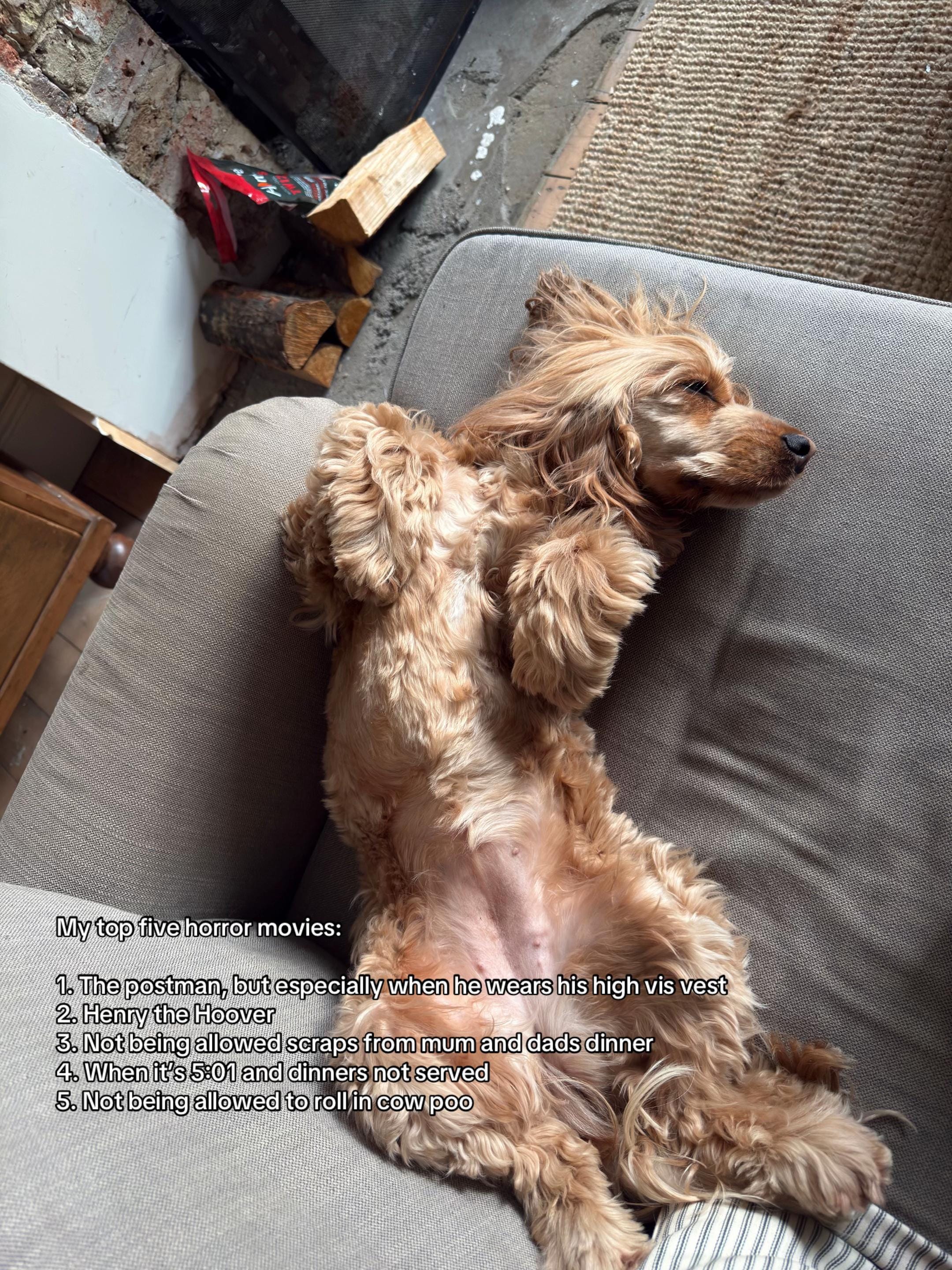 Post 1 by Trishna G. on TikTok (video)