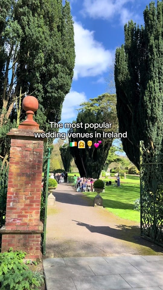 Post 9 by Sandra | Floral Designer on TikTok (video)