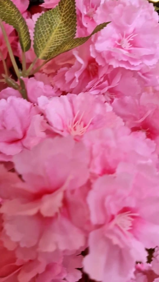 Post 4 by Pixie Late on TikTok (video)