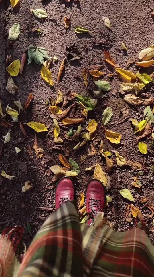 Post 10 by My Little Edinburgh on TikTok (video)