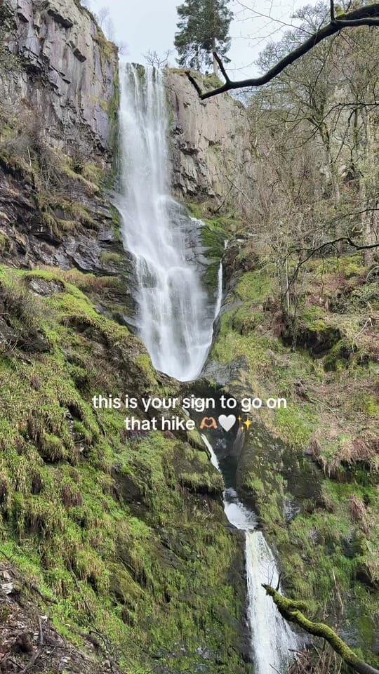 Post 7 by Mia Plant | Actress on TikTok (video)