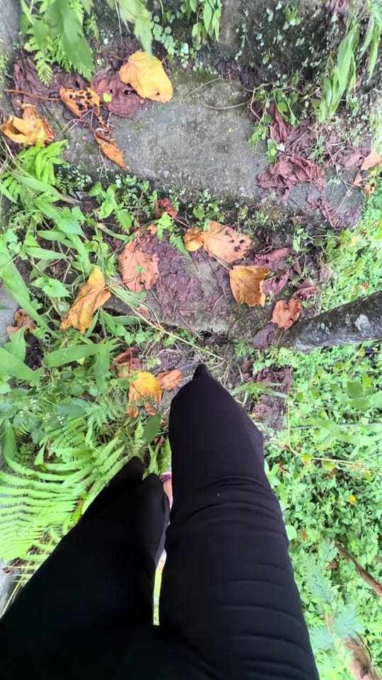 Post 3 by plsfixsociety on TikTok (video)