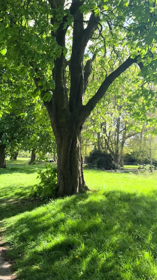 Post 3 by AmelieMelie 🇬🇧 🇦🇱 on TikTok (video)