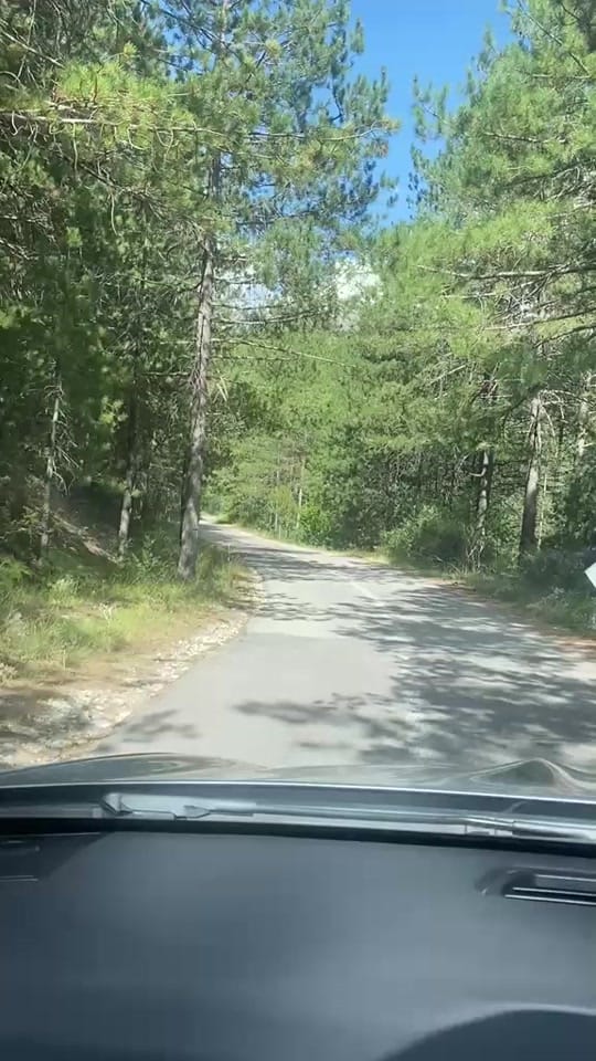 Post 4 by AmelieMelie 🇬🇧 🇦🇱 on TikTok (video)