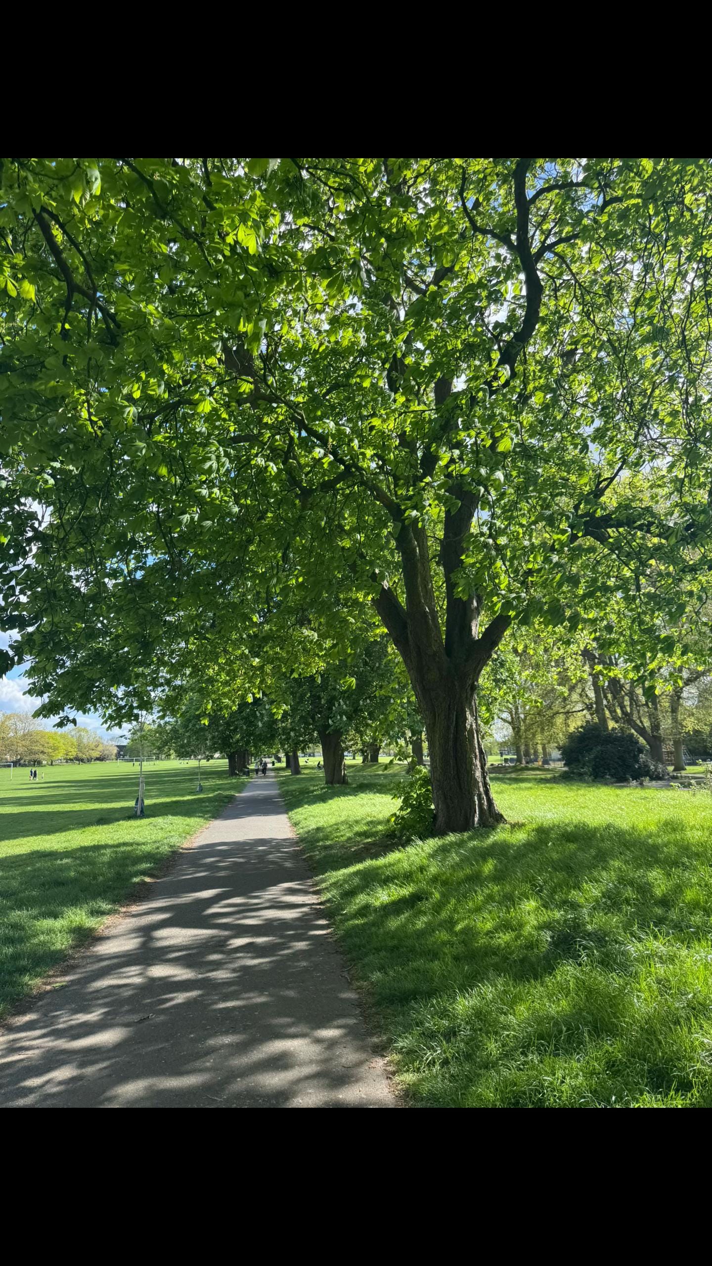 Post 2 by AmelieMelie 🇬🇧 🇦🇱 on TikTok (video)