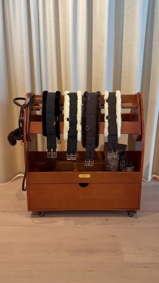 Post 5 by Kentucky Horsewear on TikTok (video)
