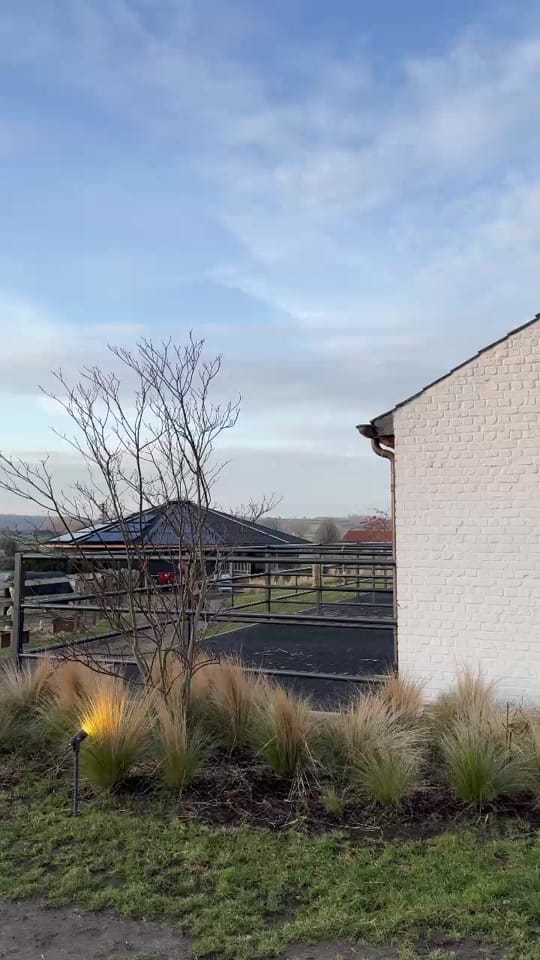 Post 3 by Kentucky Horsewear on TikTok (video)
