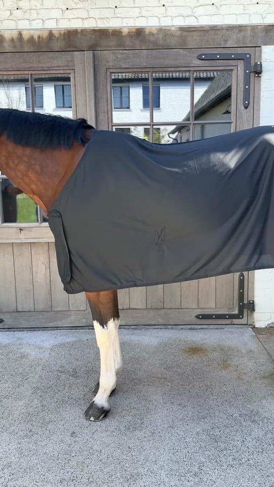 Post 1 by Kentucky Horsewear on TikTok (video)