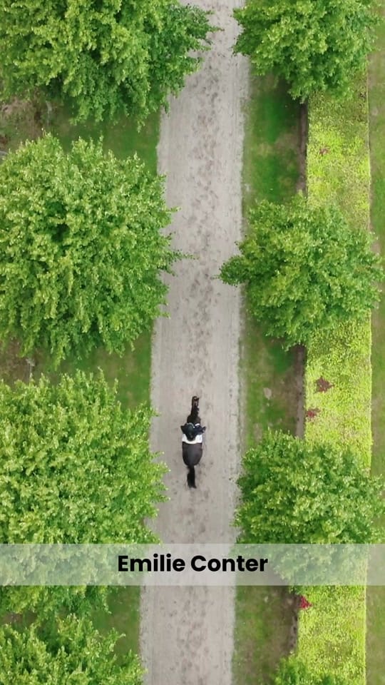 Post 6 by Kentucky Horsewear on TikTok (video)