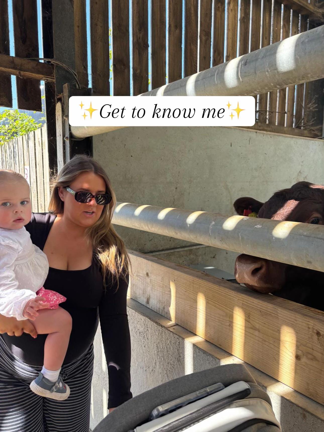 Post 10 by BETH LEMON on TikTok (video)