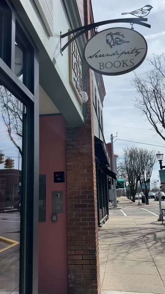 Post 4 by Serendipity Books on TikTok (video)