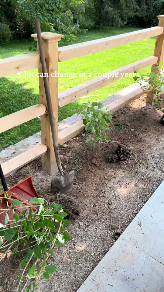 Post 9 by Andrea Pierre on TikTok (video)