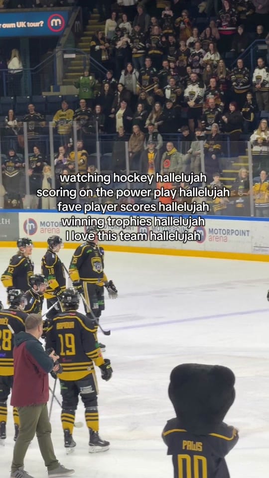 Post 4 by Soph | 🪩🏒👩🏼‍💻 on TikTok (video)