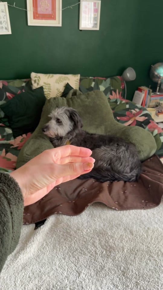 Post 5 by Soph | 🪩🏒👩🏼‍💻 on TikTok (video)